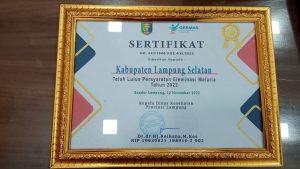 Dinas Kesehatan Kabupaten Lampung Selatan Memborong 7 Kategori Penghargaan Bidang Kesehatan se Provinsi Lampung Tahun 2022